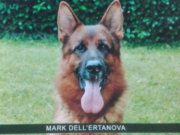 Mark dell’Ertanova